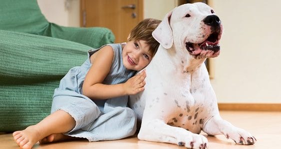 La importancia de la desparasitación de tu mascota La importancia de la desparasitación de tu mascota