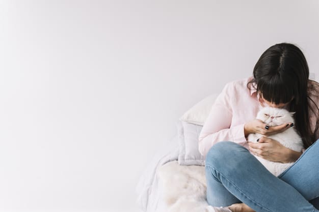 Juntar gatos y perros ¿imposible?