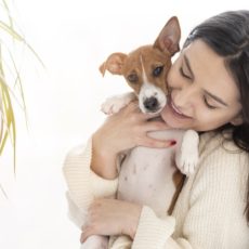 Los animales, la mejor compañía para la cuarentena Los animales, la mejor compañía para la cuarentena
