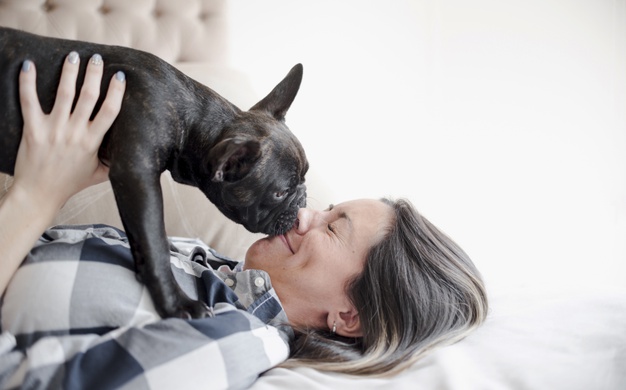 Los animales, la mejor compañía para la cuarentena