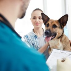 Lo que debes saber sobre la esterilización Lo que debes saber sobre la esterilización