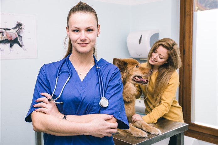 Peluquería canina, cuidando la apariencia y salud de tu mascota