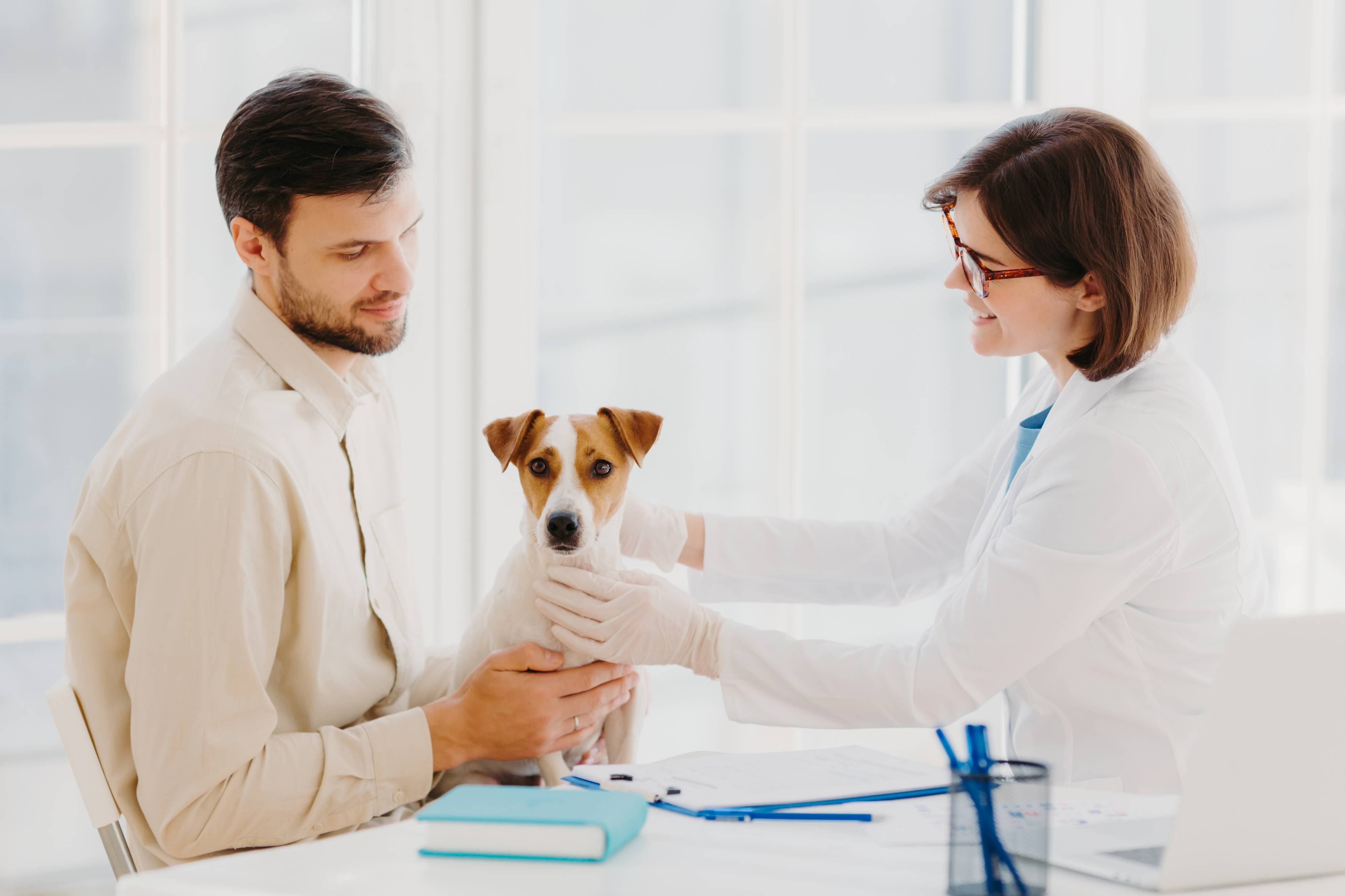 Preparando a tu mascota para una visita exitosa al veterinario