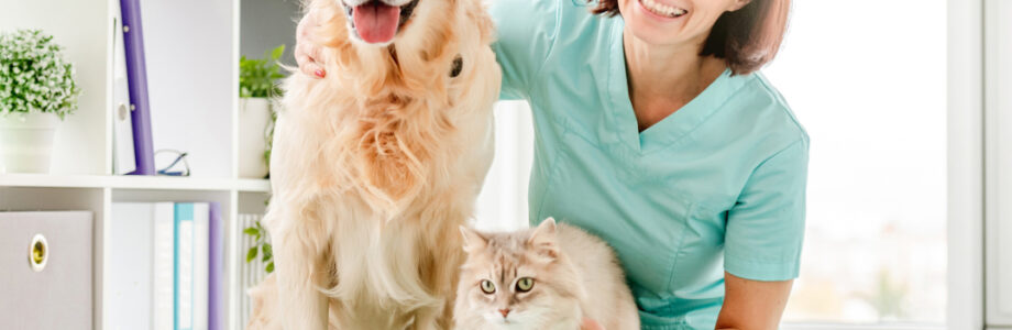 ¿Cómo se lleva a cabo la esterilización de perros y gatos?