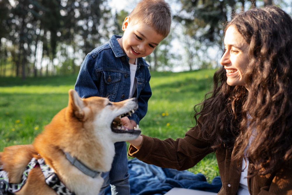 Cómo enseñar a tu hijo a convivir con su mascota de forma responsable