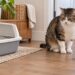 ¿Por qué mi gato hace pis fuera del arenero? Causas y soluciones